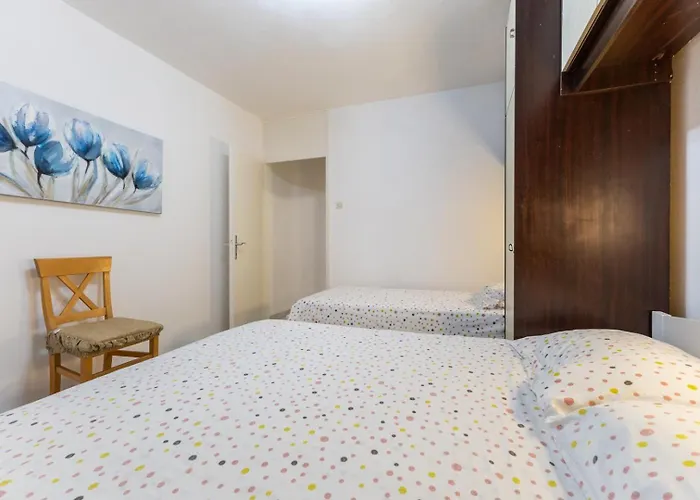 Magnolia * 波雷奇