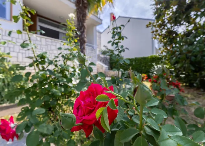 Magnolia Apartament Poreč