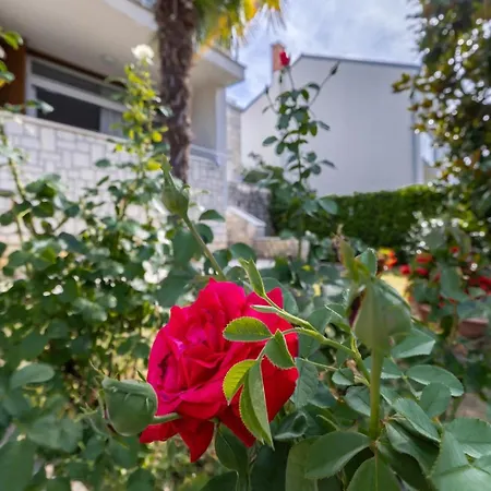 Magnolia Apartment Porec